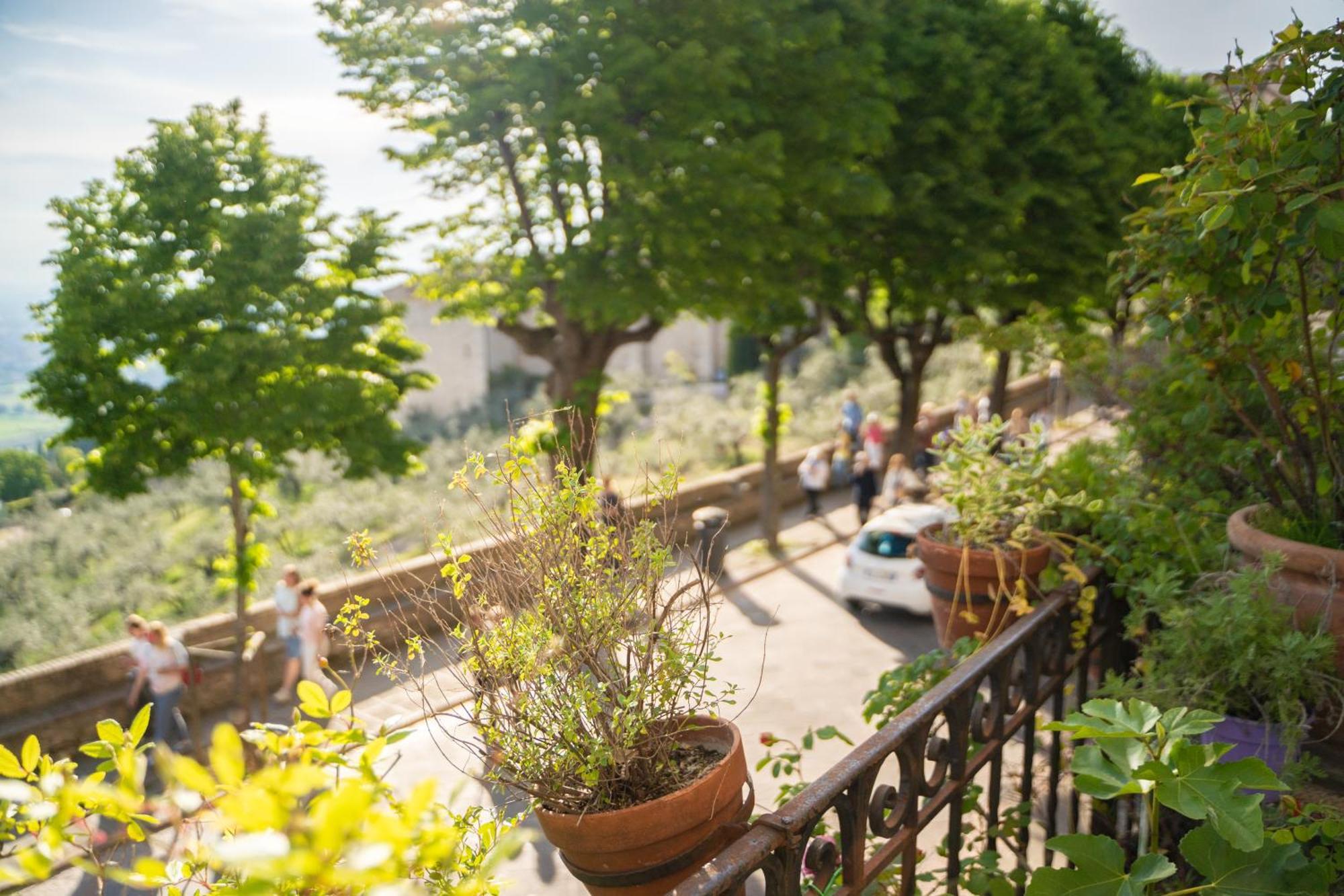Hotel Belvedere أسيسي المظهر الخارجي الصورة